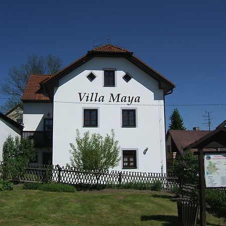 Villa Maya Horní Planá Exteriör bild
