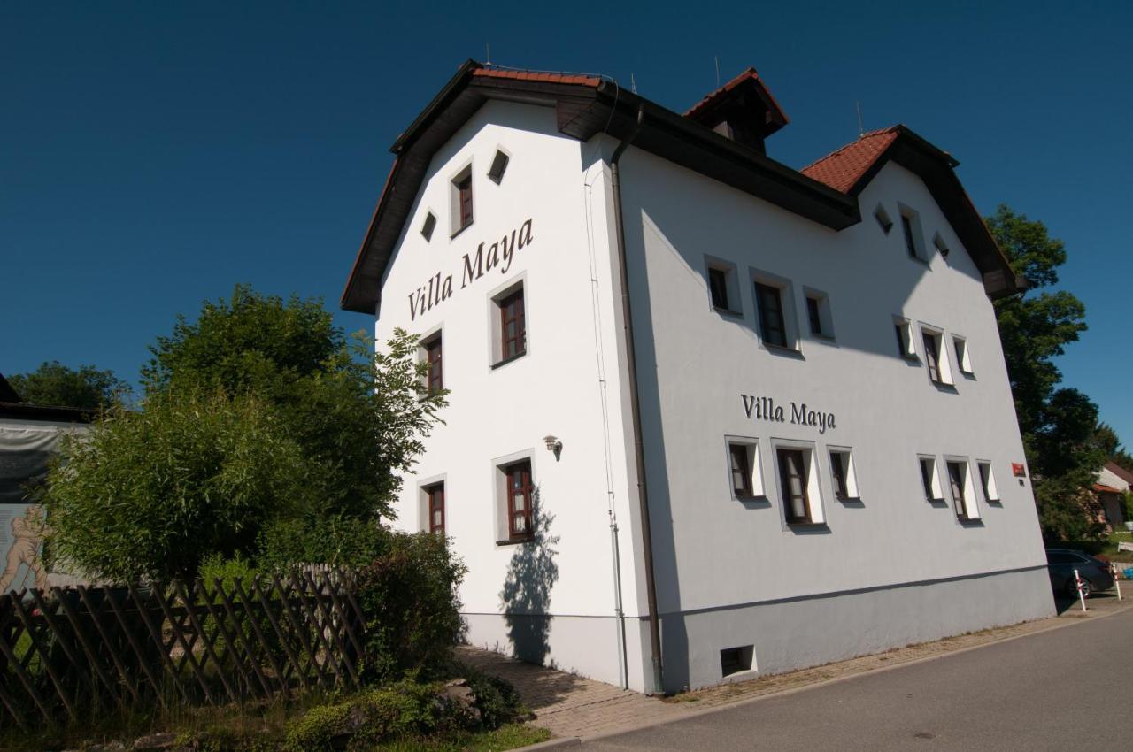Villa Maya Horní Planá Exteriör bild